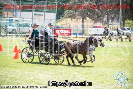 Mintakép 20260627-1070