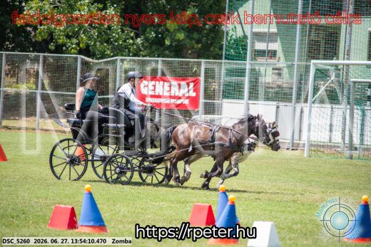 Mintakép 20260627-1075