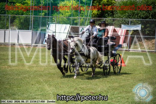 Mintakép 20260627-1076