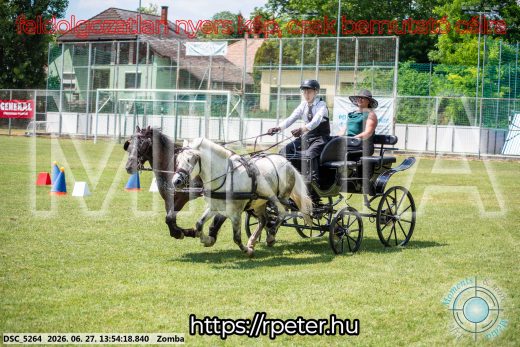 Mintakép 20260627-1078