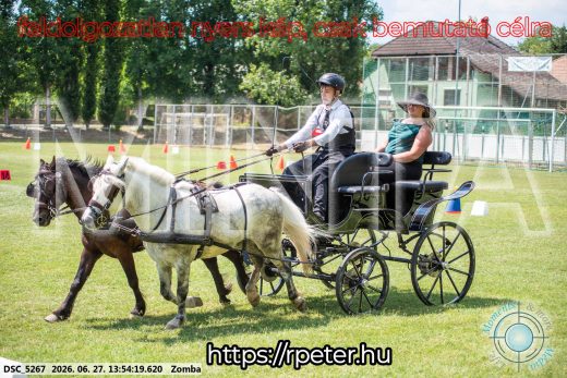 Mintakép 20260627-1081