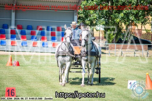 20260627-094015-DSC_3294.jpg