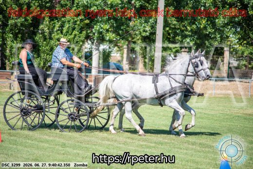 Mintakép 20260627-1086