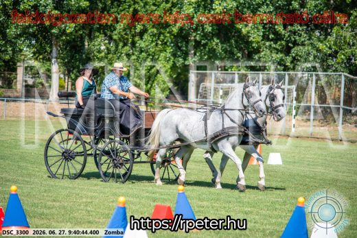 Mintakép 20260627-1087