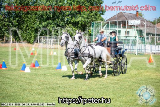 Mintakép 20260627-1088
