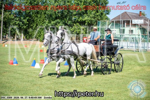 Mintakép 20260627-1089