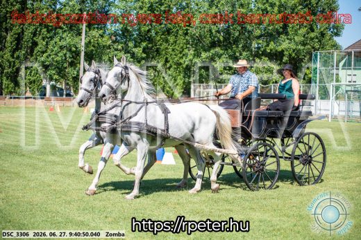 Mintakép 20260627-1091