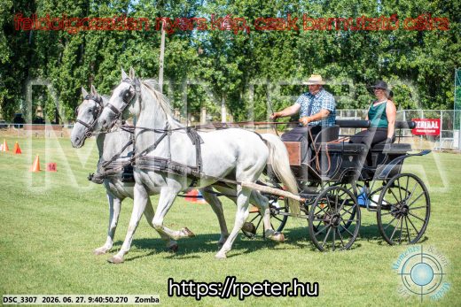 Mintakép 20260627-1092