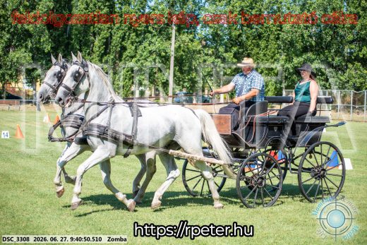 Mintakép 20260627-1093