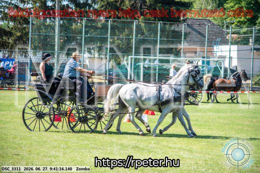 Mintakép 20260627-1094