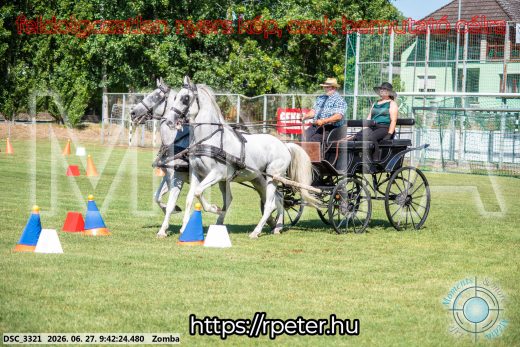 Mintakép 20260627-1097