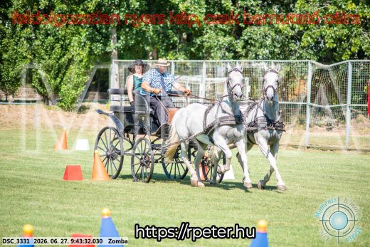 Mintakép 20260627-1098