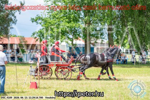 Mintakép 20260613-417