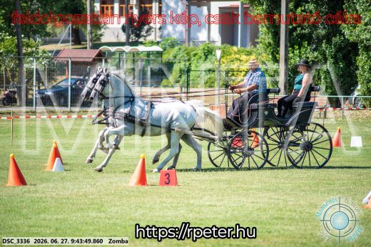 Mintakép 20260627-1101