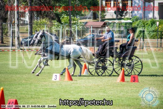 Mintakép 20260627-1102