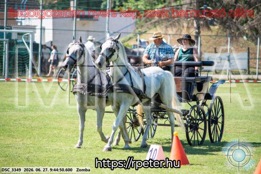 Mintakép 20260627-1103
