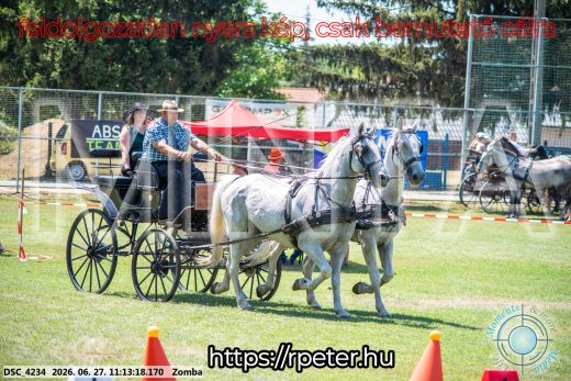 Mintakép 20260627-1106