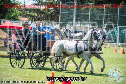 Mintakép 20260627-1108