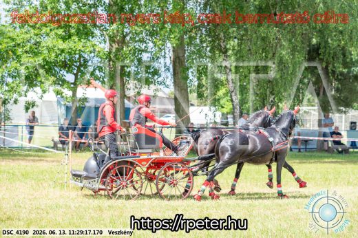Mintakép 20260613-418