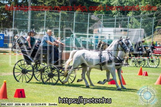 Mintakép 20260627-1109