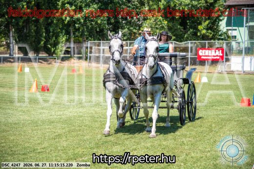 Mintakép 20260627-1110