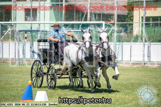 Mintakép 20260627-1111