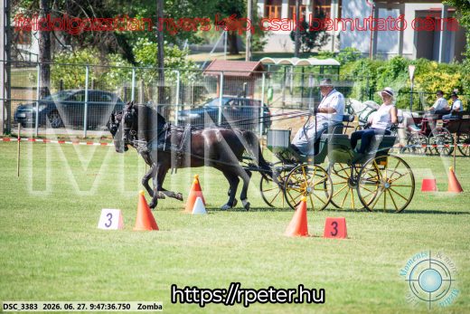 Mintakép 20260627-1130