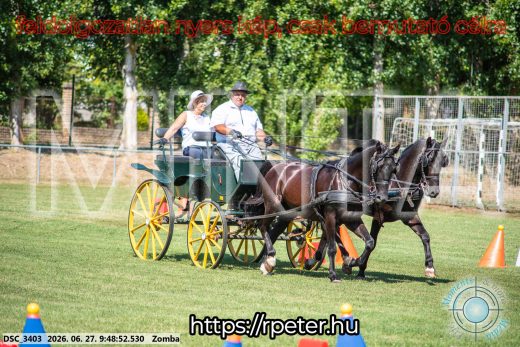 Mintakép 20260627-1142