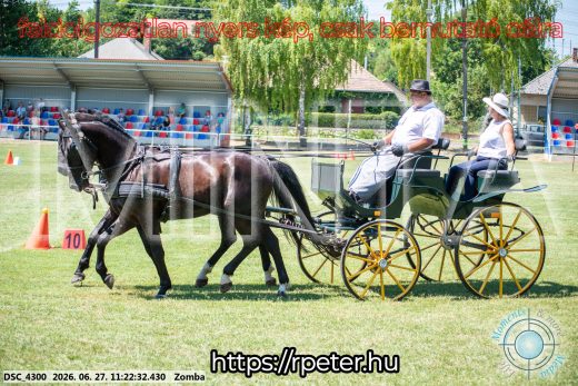 Mintakép 20260627-1154