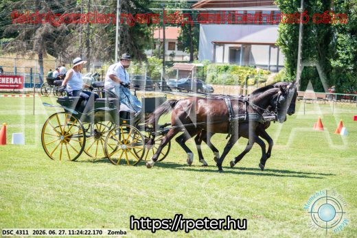 Mintakép 20260627-1160