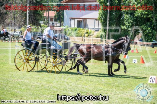 Mintakép 20260627-1161