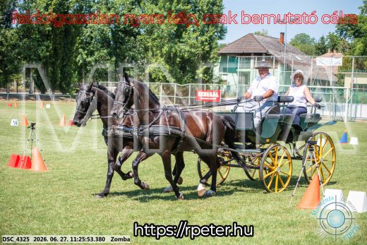 Mintakép 20260627-1169