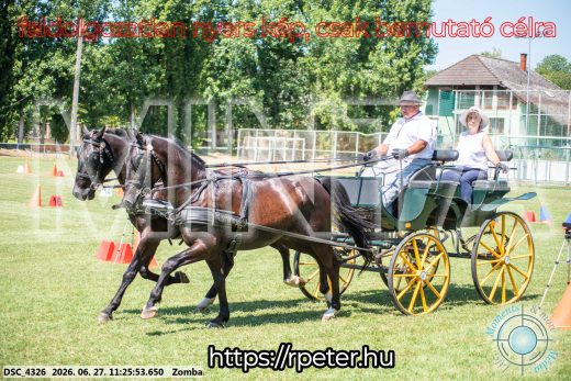 Mintakép 20260627-1170