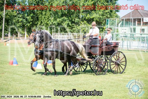 Mintakép 20260627-1176