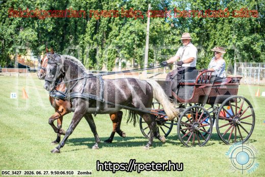Mintakép 20260627-1178