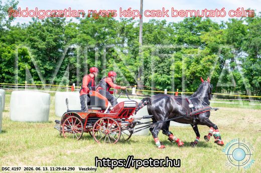 Mintakép 20260613-425