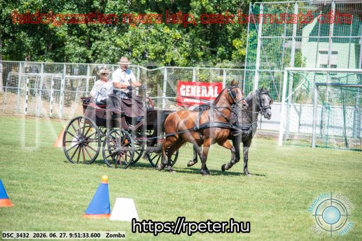 Mintakép 20260627-1181