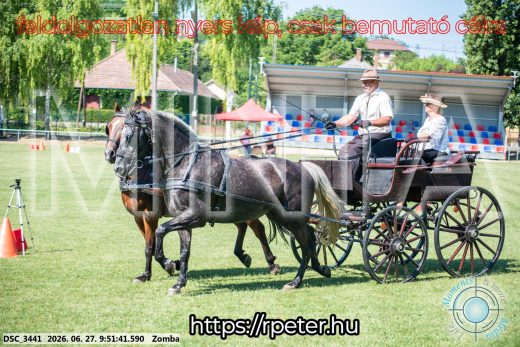 Mintakép 20260627-1184