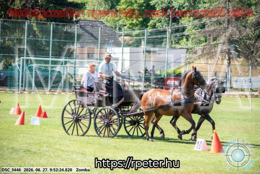 Mintakép 20260627-1187