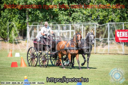Mintakép 20260627-1188