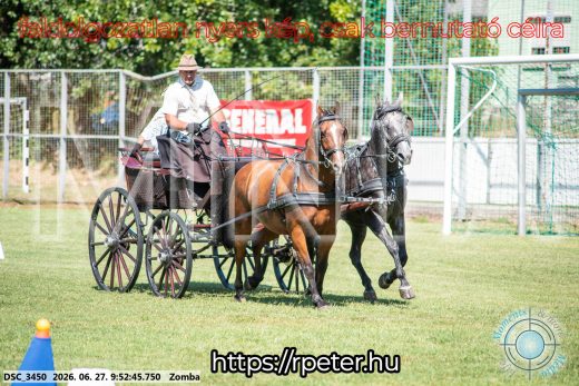 Mintakép 20260627-1189