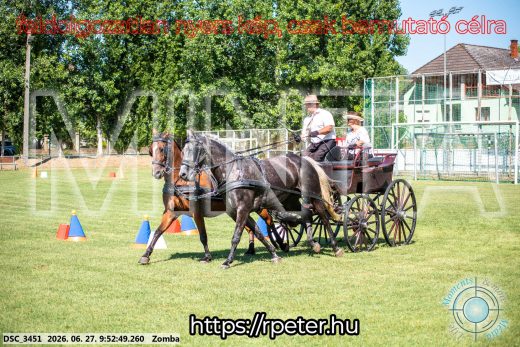 Mintakép 20260627-1190