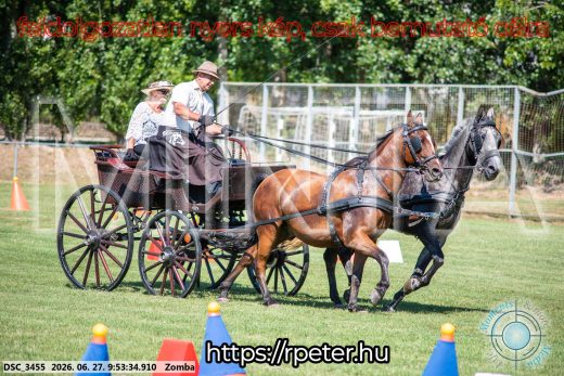 Mintakép 20260627-1193