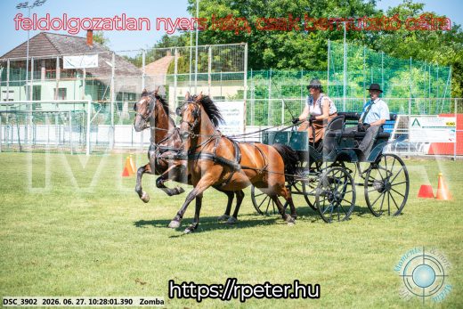 Mintakép 20260627-831