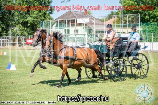 Mintakép 20260627-833