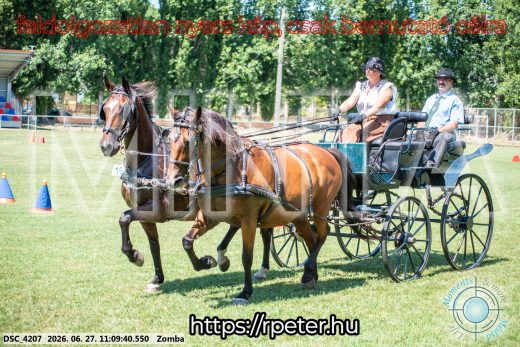 Mintakép 20260627-836
