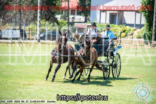 Mintakép 20260627-838