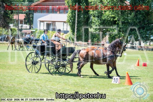 Mintakép 20260627-839