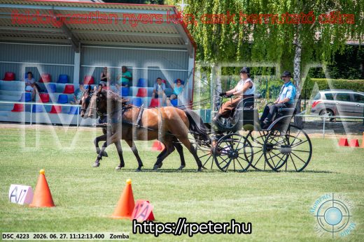 Mintakép 20260627-840