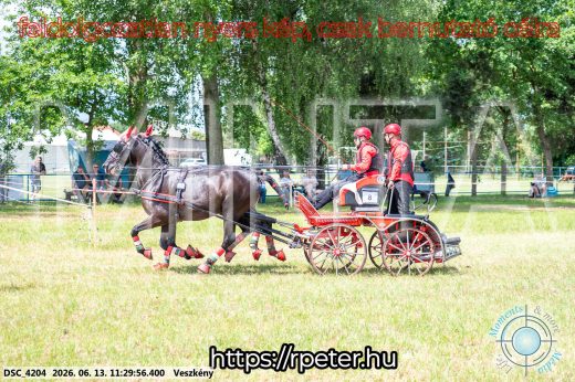 Mintakép 20260613-431